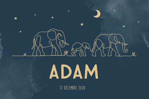 Faire-part de naissance en bois avec éléphants sur fond bleu foncé
