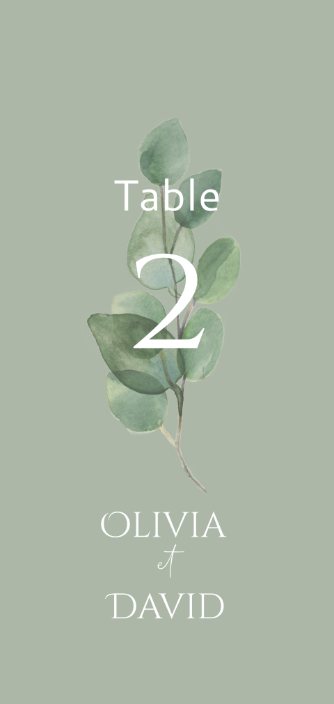 Marque-table tendance avec feuilles d'eucalyptus sur fond vert
