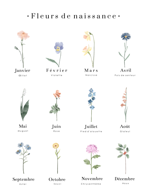 Affiche avec illustration des fleurs de naissance
