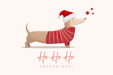 Carte de Noël amusante avec un teckel avec un costume de Noël
