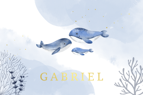 Faire-part de naissance avec thème sous-marin et des baleines