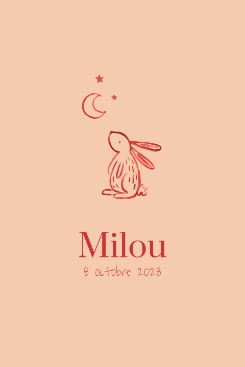 Faire-part de naissance avec petit lapin sur fond orange