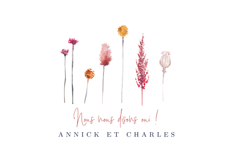 Faire-part avec fleurs colorées et programme de la journée