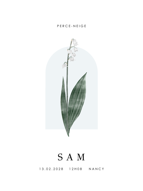 Affiche de naissance avec perce-neige