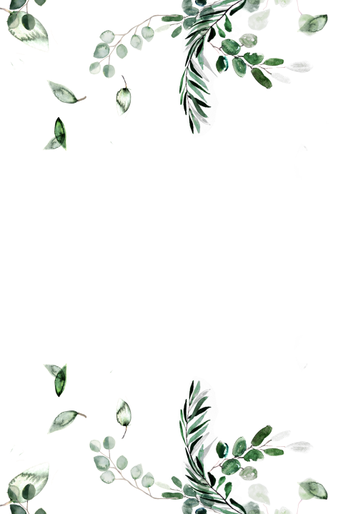 Feuillet avec des feuilles d'eucalyptus et une jolie typographie