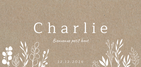 Faire-part de naissance sur papier kraft, avec photo.