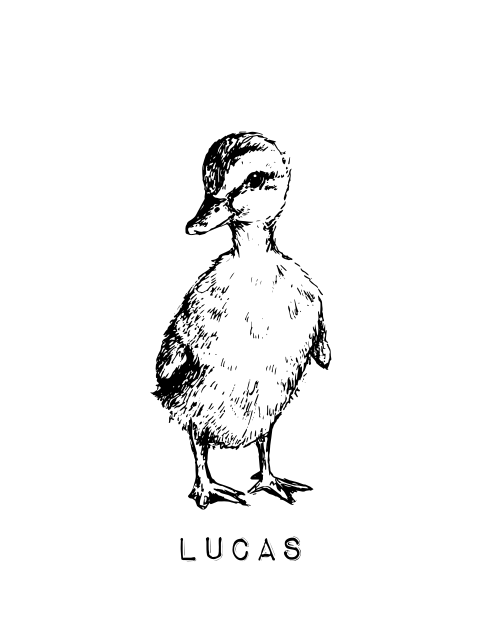 Affiche avec mignon petit canard