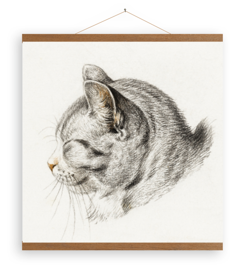 Toile avec esquisse d'un chat par Jean Bernard