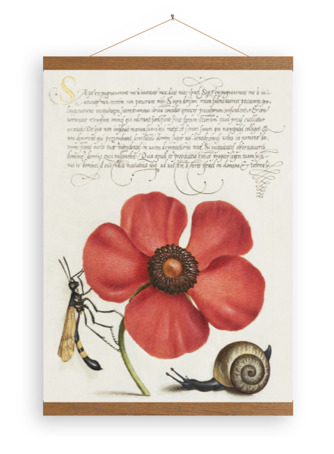 Toile avec calligraphie, escargot, fleur