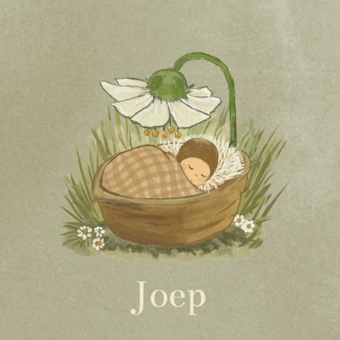 VIERKANT GEBOORTEKAARTJE MET BABY EN BLOEMEN