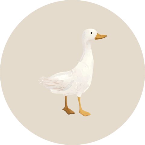 Sluitsticker illustratie gansje
