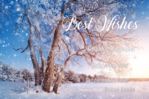 Winterse kerstkaart met landschap en teksten in zilverfolie look