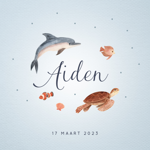 Schattig blauw geboortekaartje met watercolor zeediertjes