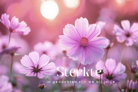 Condoleancekaart bloemen roze paars vrouw