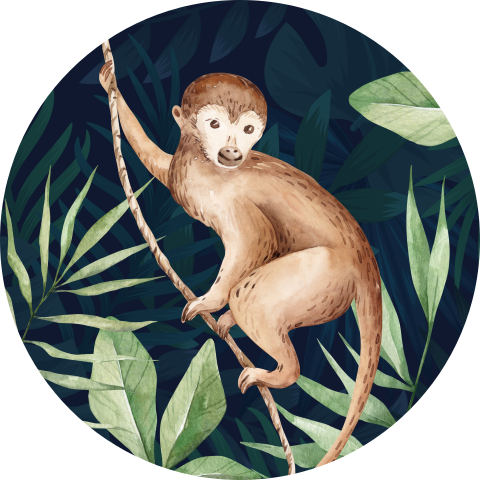 Sluitsticker aapje jungle | 25 stuks