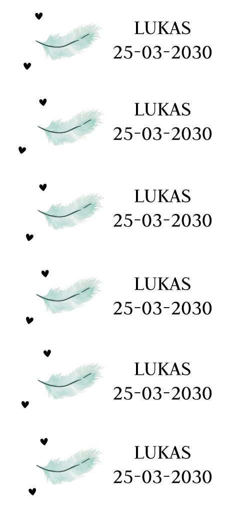 DIY labeltjes veertjes mintgroen