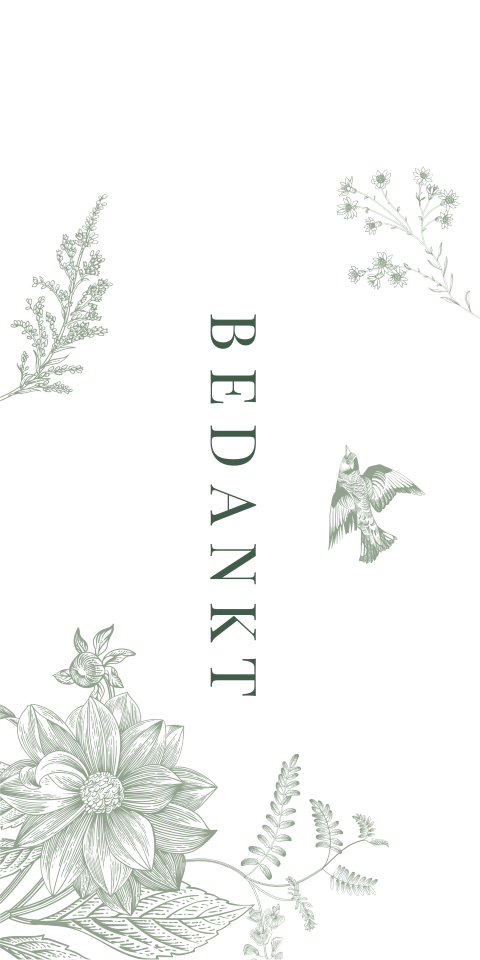 Label botanisch groen met vogel 16 stuks