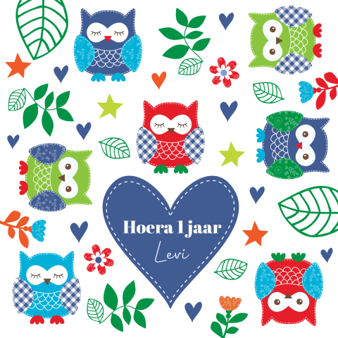 Verjaardagskaart kind 1 jaar jongen uiltjes blauw
