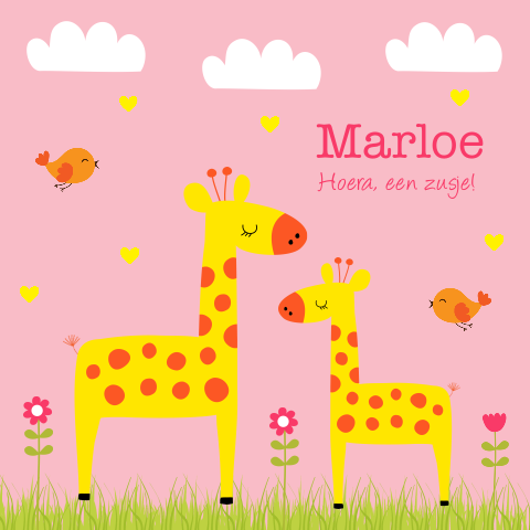 Geboortekaartje zusje giraffes