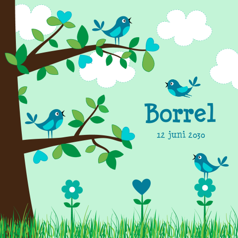 Kraamborrelkaart vogeltjes
