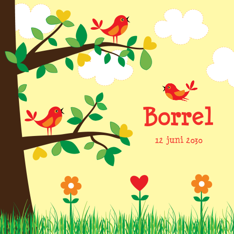 Kraamborrelkaart vogeltjes