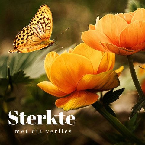Condoleancekaart natuur bloemen vlinder geel