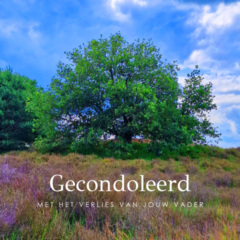 Condoleancekaart natuur boom op de heide