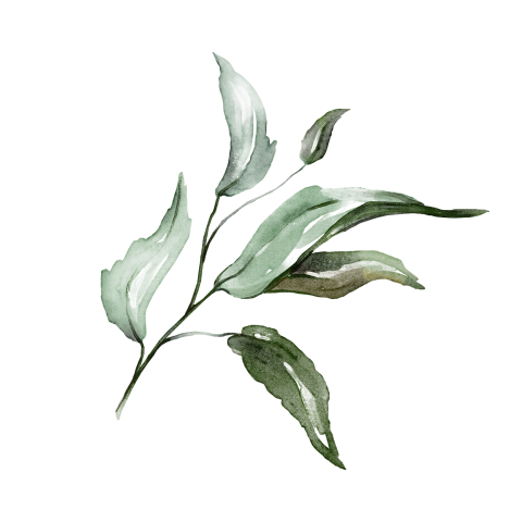 Sluitzegel minimalistisch blad