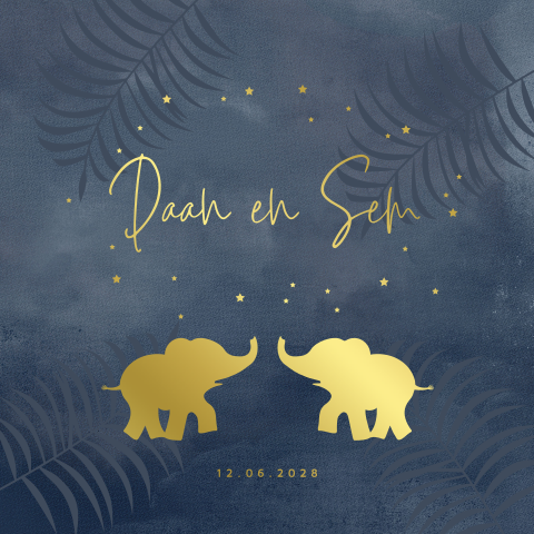 Tweeling geboortekaartje jongens olifant goudfolie