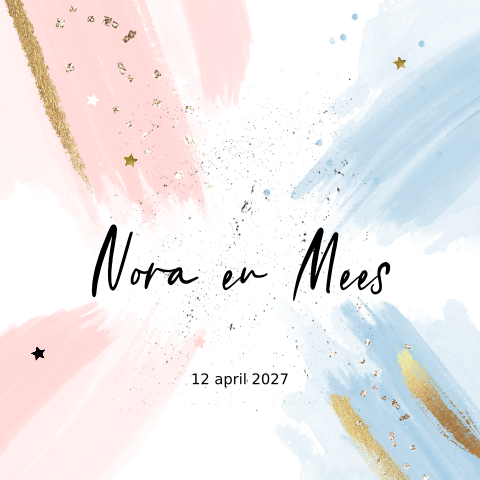 Tweeling geboortekaartje met blauw roze aquarel explosie