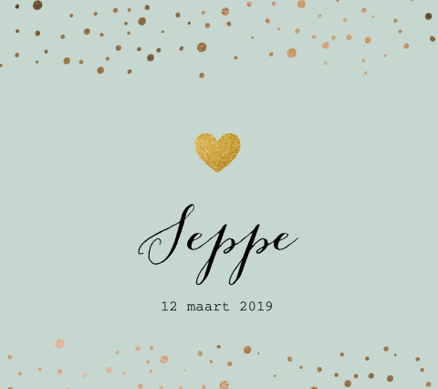 Schattig geboortekaartje jongen met goud gekleurde look