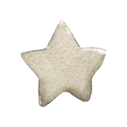 Sluitzegel geboorte met grote ster beige