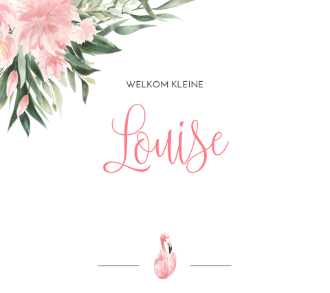 Belgisch vierkant geboortekaartje meisje flamingo bloemen