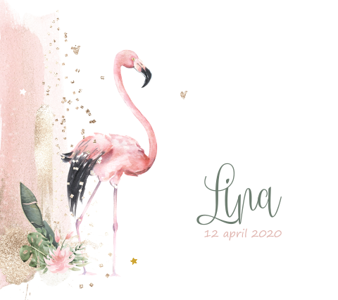 geboortekaartje Belgisch vierkant watercolor flamingo en bloemen