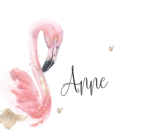 Hip geboortekaartje meisje flamingo litter look