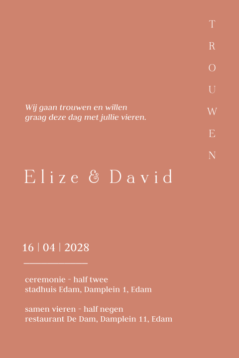 Modern clean enkele trouwkaart terracotta zelf maken