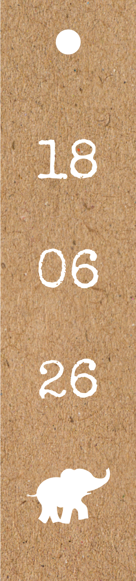 Geboorte labelje 20x85 met gaatje kraft look