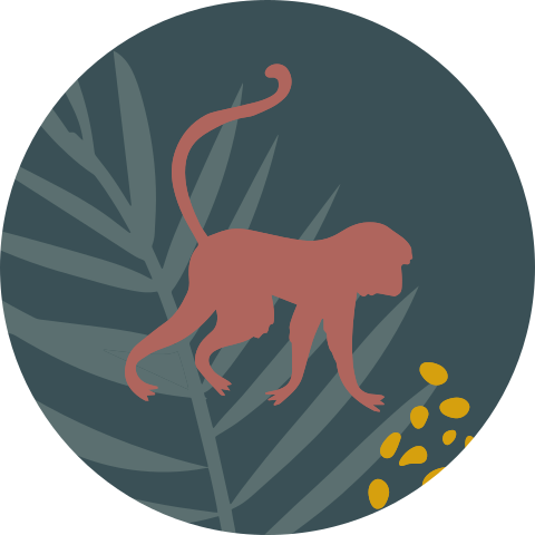 Sluitzegel jungle aap