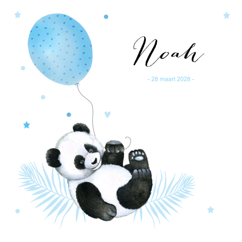 Geboortekaartje jongen pandabeertje ballon