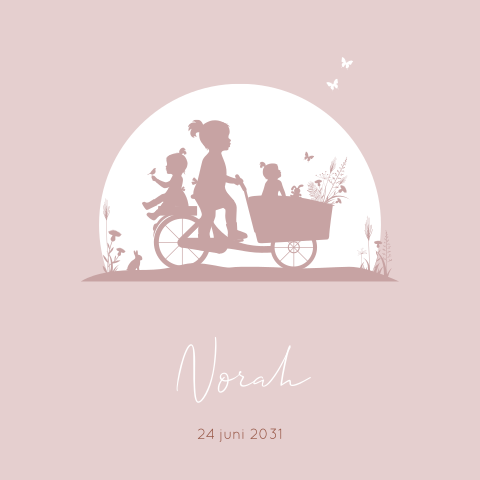 Geboortekaartje derde kindje met silhouet van 3 zusjes op bakfiets