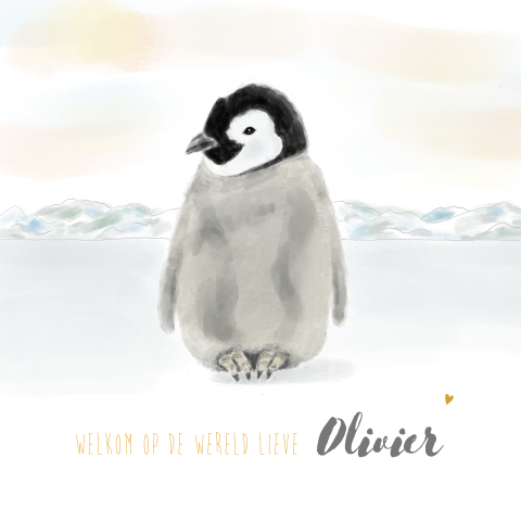 Geboortekaartje met Pinguïn jongen