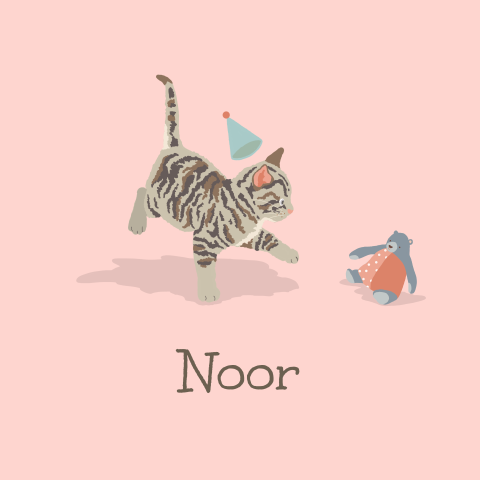 Geboortekaartje meisje met een getekende poes