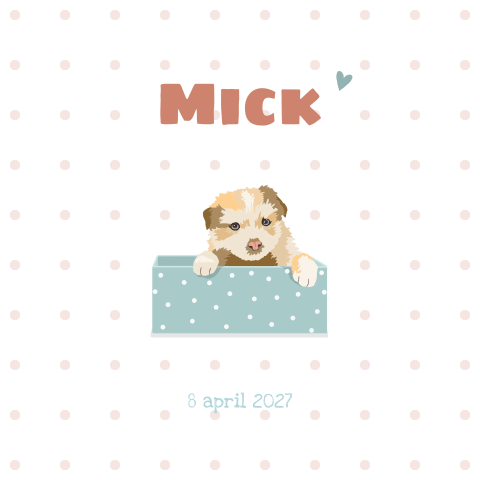 Geboortekaartje voor een jongen met lieve puppy in een doos