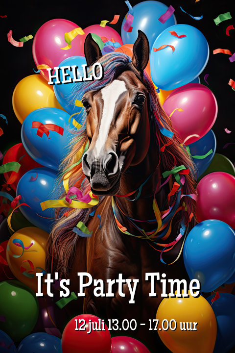 Kinderfeest PAARD met BALLONNEN
