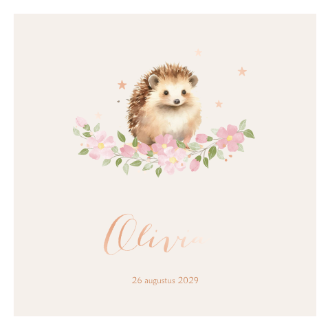 Lief getekend geboortekaartje meisje met egel