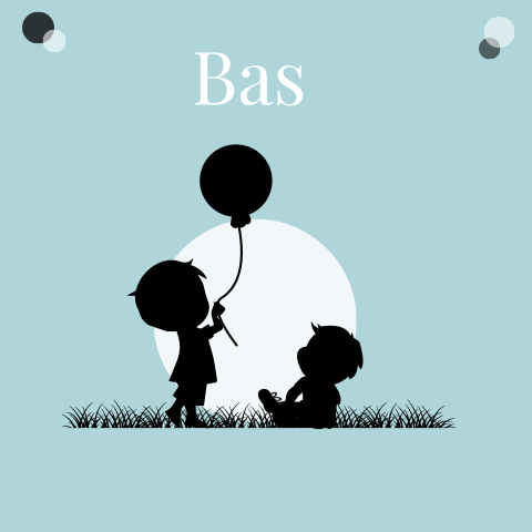 Geboortekaartje 2e kindje klein broertje silhouet ballon