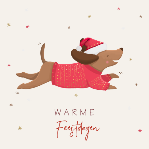 Kerstkaart teckel met trui en muts