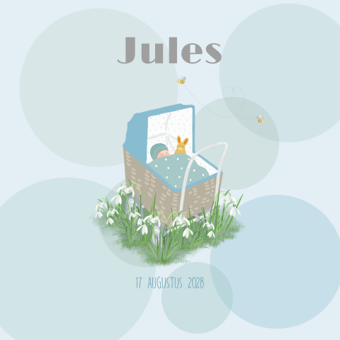 Geboortekaartje jongetje kindje in kinderwagen