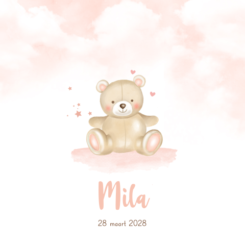 Mooi geboortekaartje voor een meisje met een teddybeer