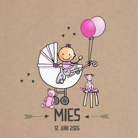Geboortekaartje kinderwagen baby meisje